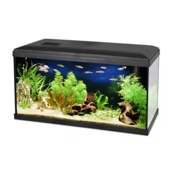 AquaEl Leddy Day&Night 60 black - akvárium szett (fekete) 54 literes - 60x30x30cm